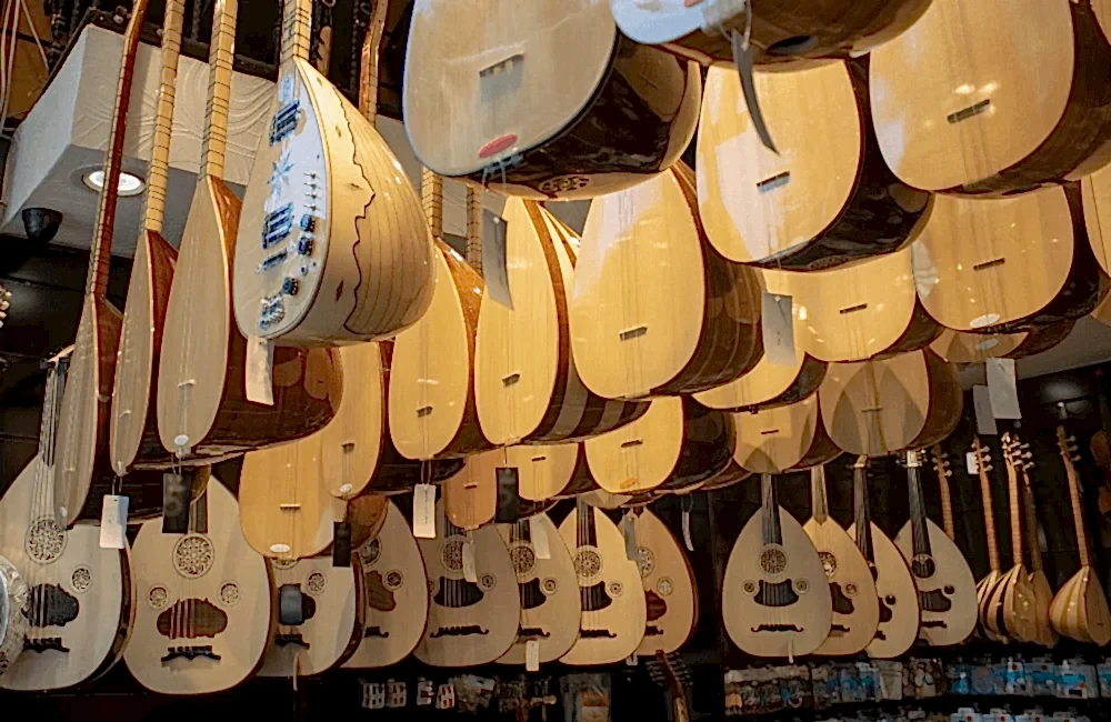 Ankara Bağlama Kursu - Adam Sanat Akademi